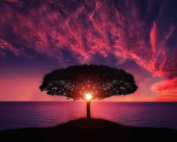 mishkan