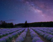 Lua-Nova-de-Sagitário