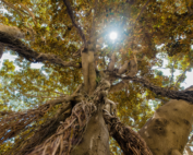 ferramenta-espiritual