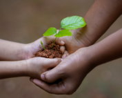 Shabat-da-porção-de-Va'etchanan