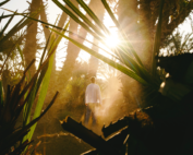 Luz da Misericórdia