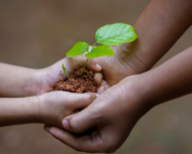 sabedoria da Kabbalah