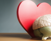 inteligencia emocional