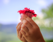 Luz da Redenção Final