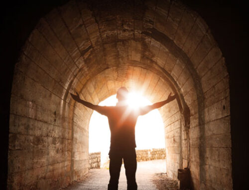 Nenhuma Luz Jamais é Desperdiçada