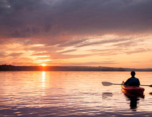 Sua bondade está escondida dentro dela